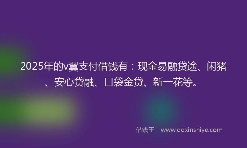 2025年的v翼支付借钱有：现金易融贷途、闲猪、安心贷融、口袋金贷、新一花等。