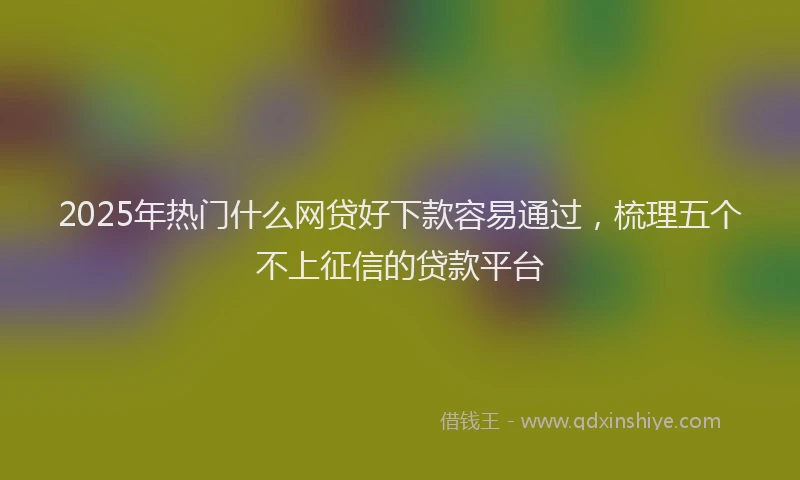 2025年热门什么网贷好下款容易通过，梳理五个不上征信的贷款平台