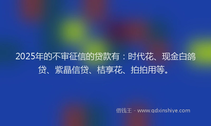 2025年的不审征信的贷款有：时代花、现金白鸽贷、紫晶信贷、桔享花、拍拍用等。