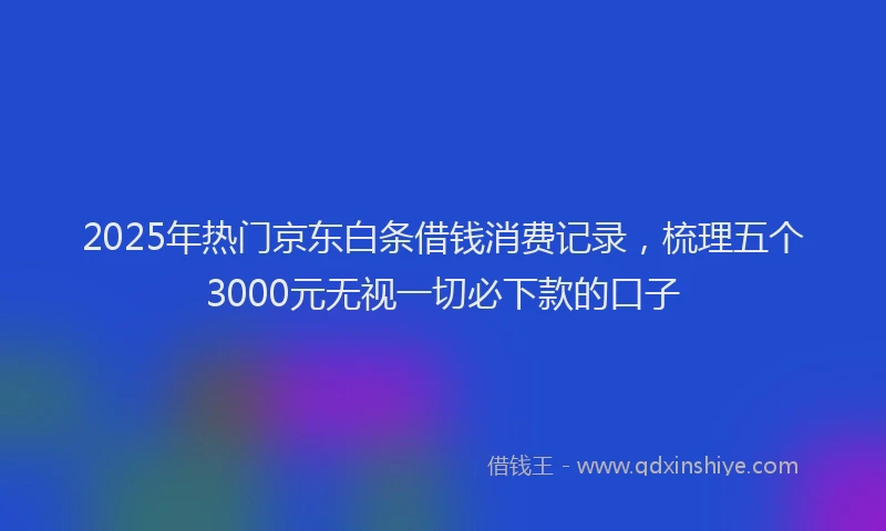 2025年热门京东白条借钱消费记录，梳理五个3000元无视一切必下款的口子