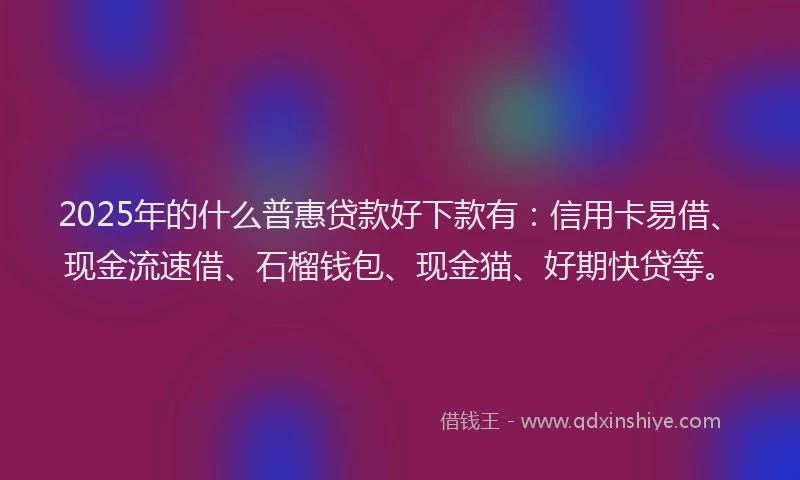 2025年的什么普惠贷款好下款有：信用卡易借、现金流速借、石榴钱包、现金猫、好期快贷等。