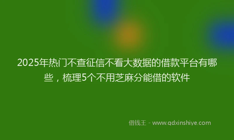 2025年热门不查征信不看大数据的借款平台有哪些，梳理5个不用芝麻分能借的软件