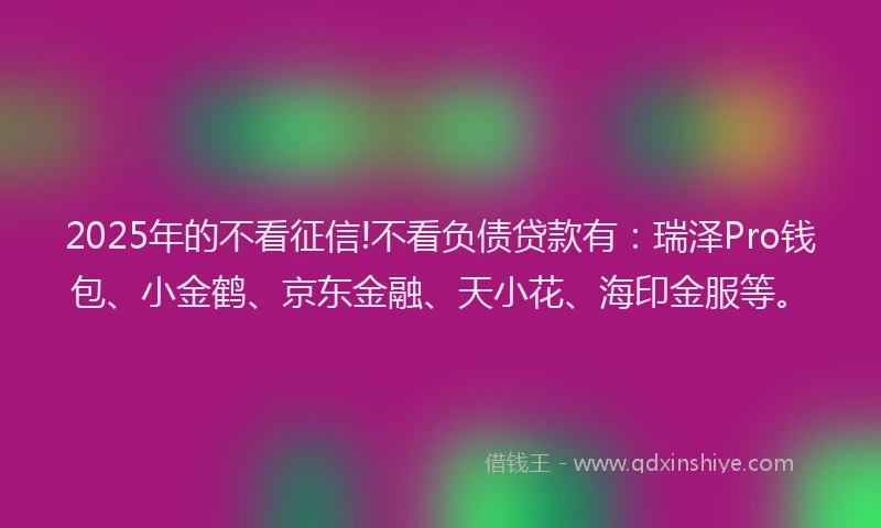 2025年的不看征信!不看负债贷款有：瑞泽Pro钱包、小金鹤、京东金融、天小花、海印金服等。