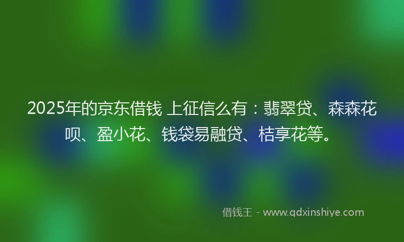 2025年的京东借钱 上征信么有：翡翠贷、森森花呗、盈小花、钱袋易融贷、桔享花等。