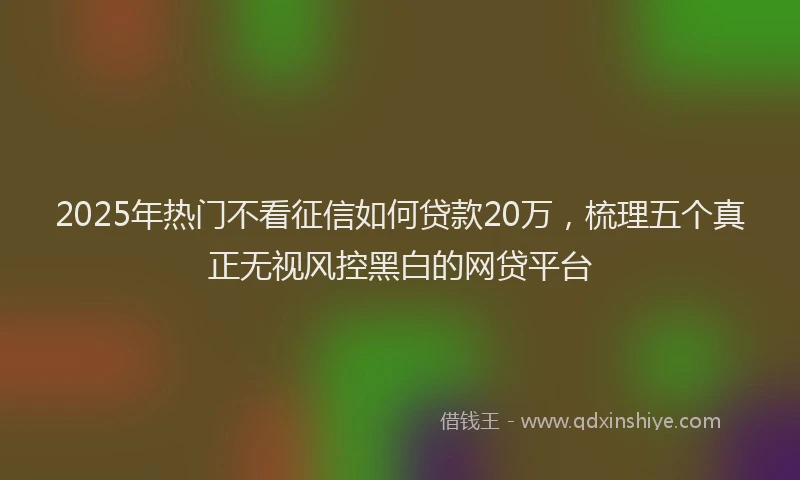 2025年热门不看征信如何贷款20万，梳理五个真正无视风控黑白的网贷平台