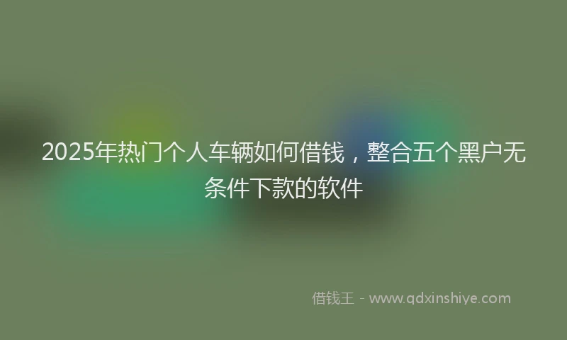 2025年热门个人车辆如何借钱，整合五个黑户无条件下款的软件