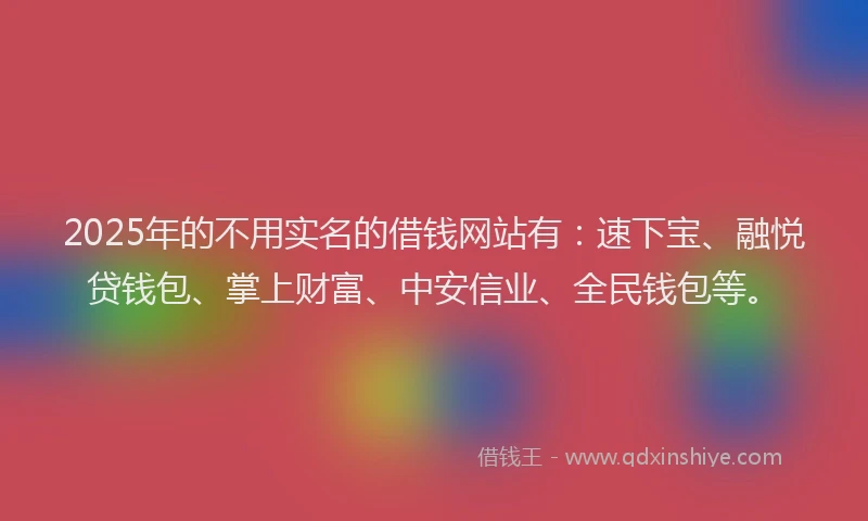 2025年的不用实名的借钱网站有：速下宝、融悦贷钱包、掌上财富、中安信业、全民钱包等。