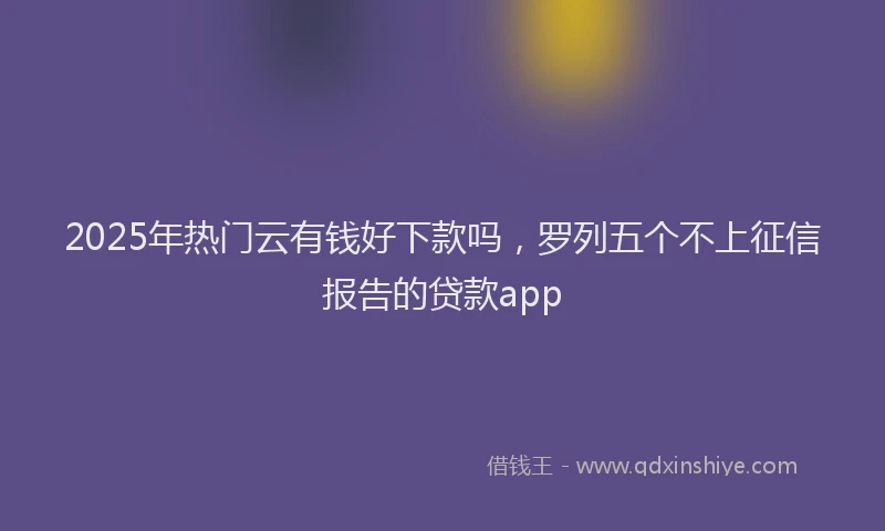 2025年热门云有钱好下款吗，罗列五个不上征信报告的贷款app