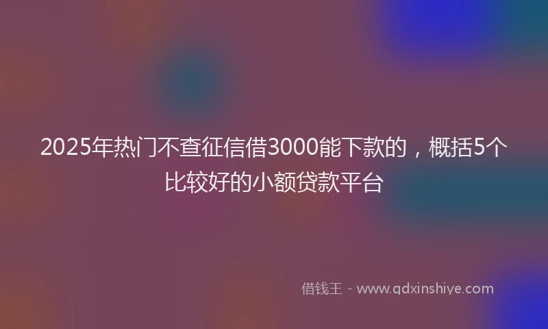 2025年热门不查征信借3000能下款的，概括5个比较好的小额贷款平台