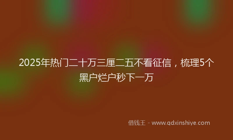 2025年热门二十万三厘二五不看征信，梳理5个黑户烂户秒下一万