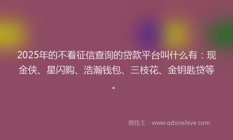 2025年的不看征信查询的贷款平台叫什么有：现金侠、星闪购、浩瀚钱包、三枝花、金钥匙贷等。