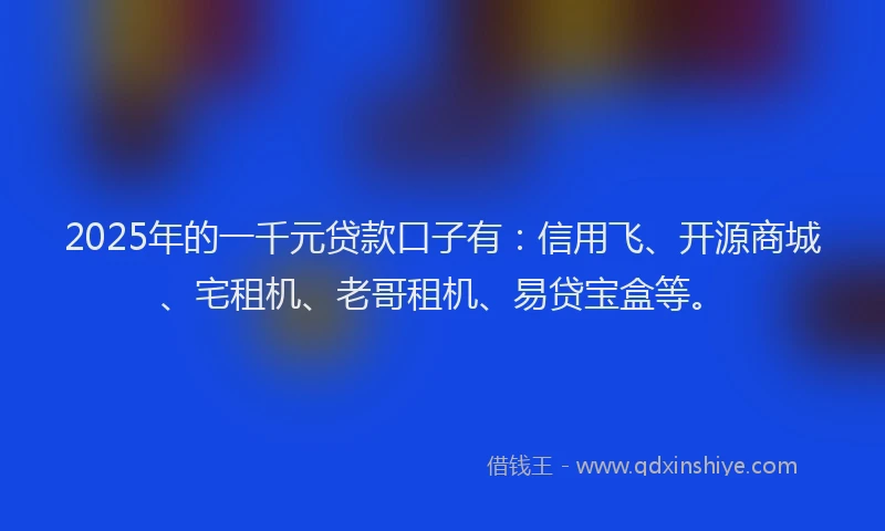 2025年的一千元贷款口子有：信用飞、开源商城、宅租机、老哥租机、易贷宝盒等。