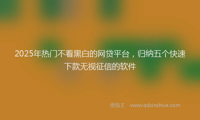 2025年热门不看黑白的网贷平台，归纳五个快速下款无视征信的软件