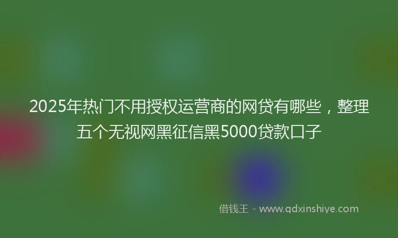 2025年热门不用授权运营商的网贷有哪些，整理五个无视网黑征信黑5000贷款口子