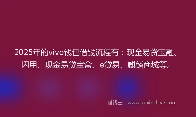 2025年的vivo钱包借钱流程有：现金易贷宝融、闪用、现金易贷宝盒、e贷易、麒麟商城等。