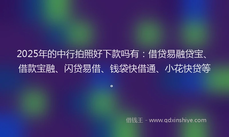 2025年的中行拍照好下款吗有：借贷易融贷宝、借款宝融、闪贷易借、钱袋快借通、小花快贷等。