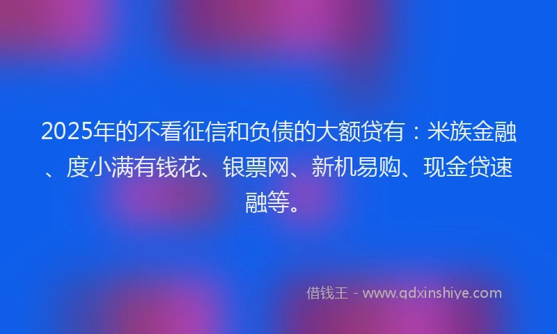 2025年的不看征信和负债的大额贷有：米族金融、度小满有钱花、银票网、新机易购、现金贷速融等。