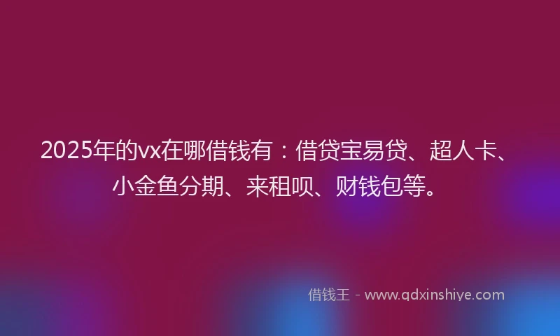 2025年的vx在哪借钱有：借贷宝易贷、超人卡、小金鱼分期、来租呗、财钱包等。