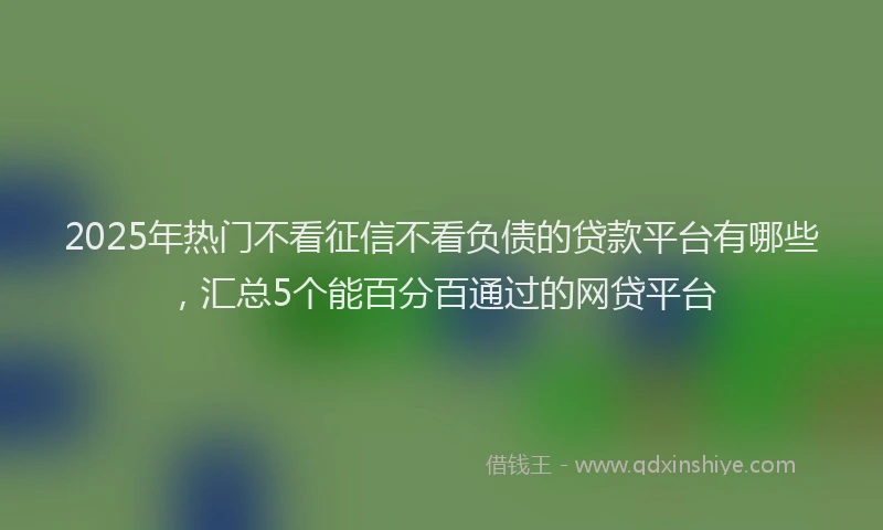 2025年热门不看征信不看负债的贷款平台有哪些，汇总5个能百分百通过的网贷平台