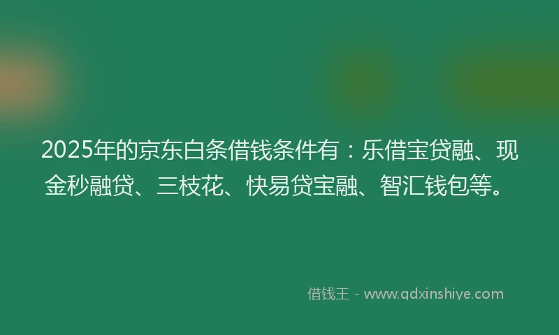 2025年的京东白条借钱条件有：乐借宝贷融、现金秒融贷、三枝花、快易贷宝融、智汇钱包等。