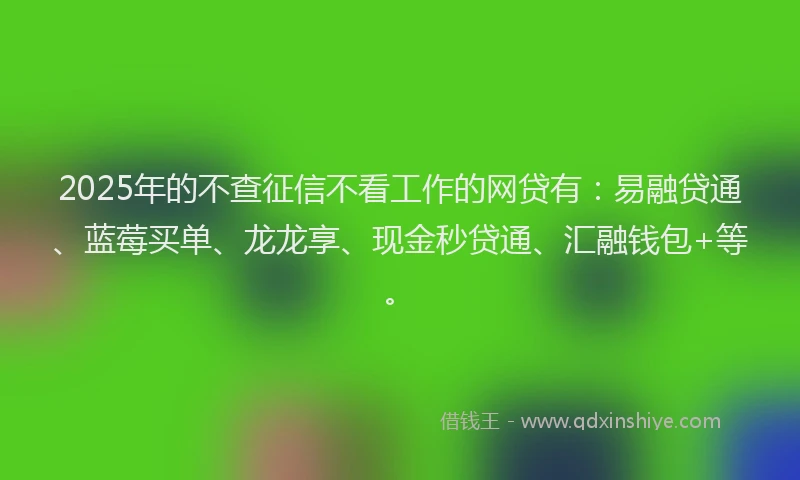 2025年的不查征信不看工作的网贷有：易融贷通、蓝莓买单、龙龙享、现金秒贷通、汇融钱包+等。