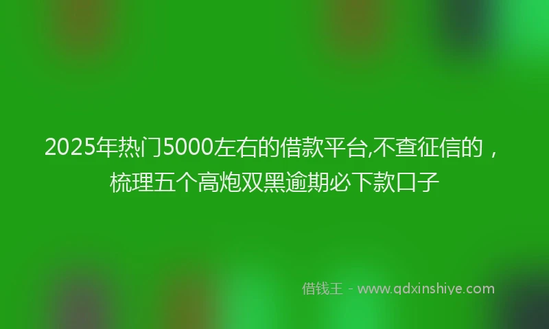 2025年热门5000左右的借款平台,不查征信的，梳理五个高炮双黑逾期必下款口子