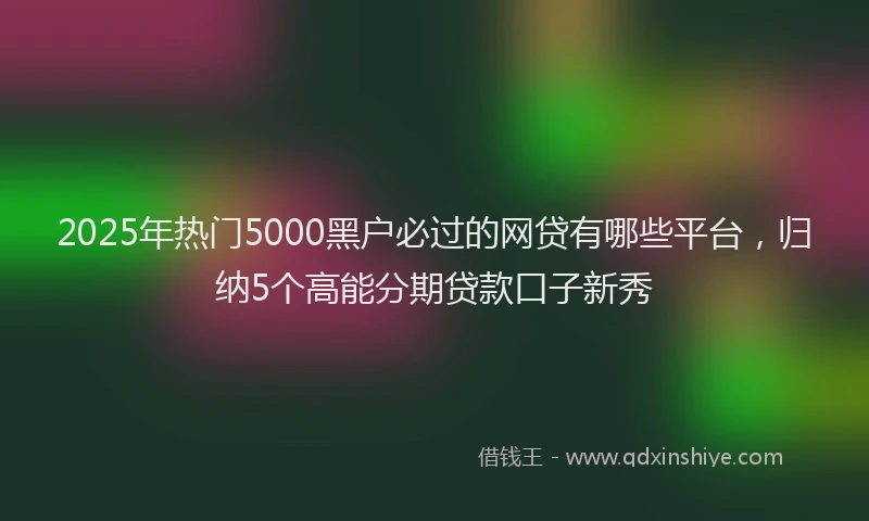 2025年热门5000黑户必过的网贷有哪些平台，归纳5个高能分期贷款口子新秀