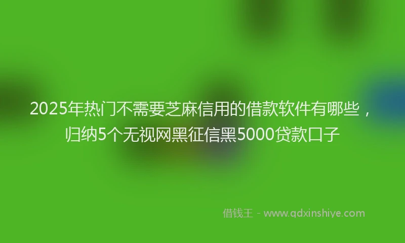 2025年热门不需要芝麻信用的借款软件有哪些，归纳5个无视网黑征信黑5000贷款口子