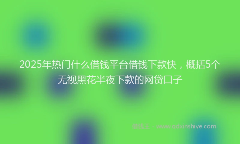 2025年热门什么借钱平台借钱下款快，概括5个无视黑花半夜下款的网贷口子