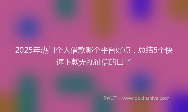 2025年热门个人借款哪个平台好点，总结5个快速下款无视征信的口子