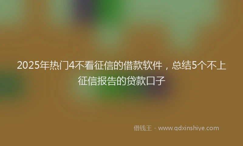 2025年热门4不看征信的借款软件，总结5个不上征信报告的贷款口子