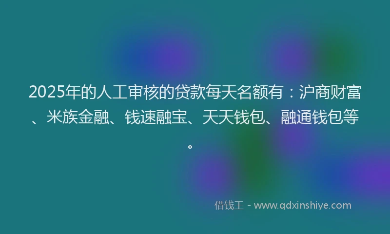 2025年的人工审核的贷款每天名额有：沪商财富、米族金融、钱速融宝、天天钱包、融通钱包等。