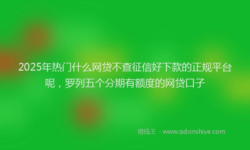 2025年热门什么网贷不查征信好下款的正规平台呢，罗列五个分期有额度的网贷口子