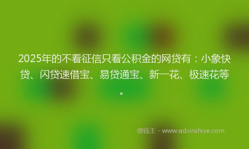 2025年的不看征信只看公积金的网贷有：小象快贷、闪贷速借宝、易贷通宝、新一花、极速花等。