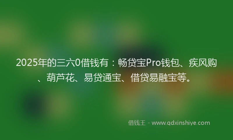 2025年的三六0借钱有：畅贷宝Pro钱包、疾风购、葫芦花、易贷通宝、借贷易融宝等。