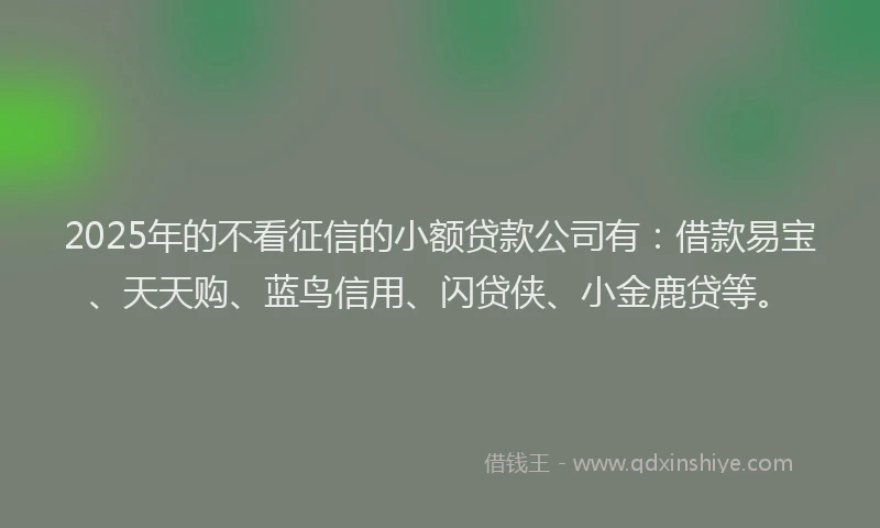 2025年的不看征信的小额贷款公司有：借款易宝、天天购、蓝鸟信用、闪贷侠、小金鹿贷等。