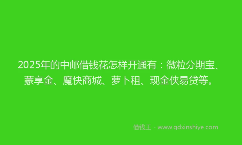 2025年的中邮借钱花怎样开通有：微粒分期宝、蒙享金、魔快商城、萝卜租、现金侠易贷等。