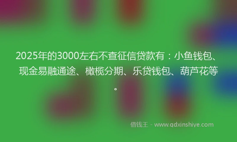 2025年的3000左右不查征信贷款有：小鱼钱包、现金易融通途、橄榄分期、乐贷钱包、葫芦花等。