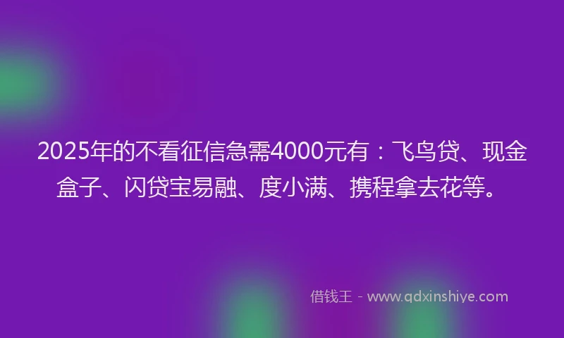 2025年的不看征信急需4000元有：飞鸟贷、现金盒子、闪贷宝易融、度小满、携程拿去花等。