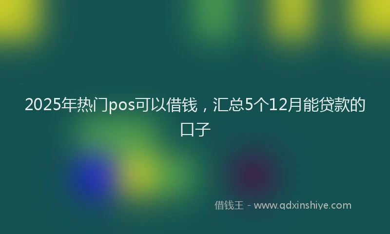 2025年热门pos可以借钱，汇总5个12月能贷款的口子