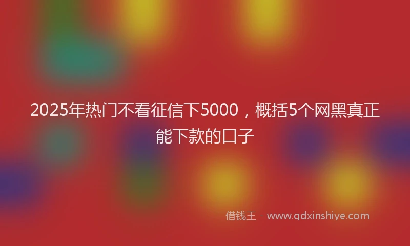 2025年热门不看征信下5000，概括5个网黑真正能下款的口子