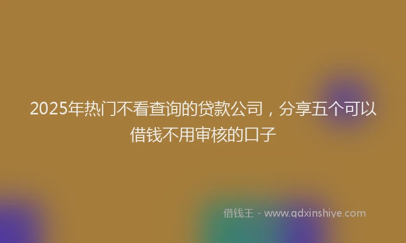 2025年热门不看查询的贷款公司，分享五个可以借钱不用审核的口子