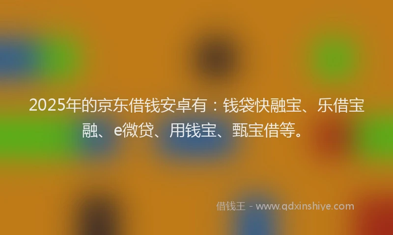 2025年的京东借钱安卓有：钱袋快融宝、乐借宝融、e微贷、用钱宝、甄宝借等。