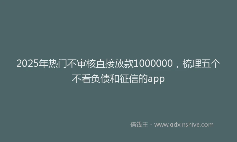 2025年热门不审核直接放款1000000，梳理五个不看负债和征信的app