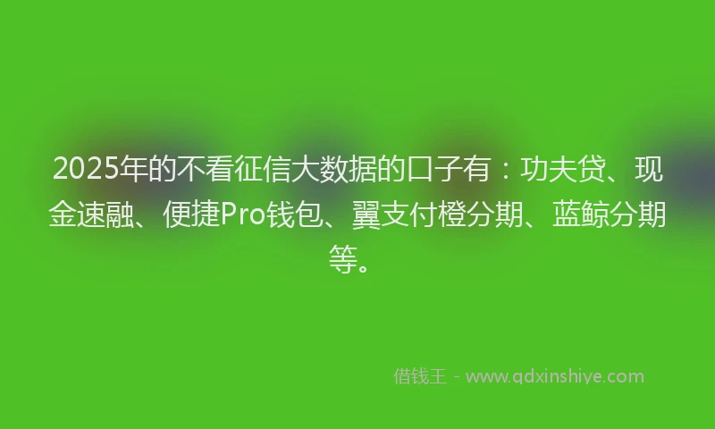 2025年的不看征信大数据的口子有：功夫贷、现金速融、便捷Pro钱包、翼支付橙分期、蓝鲸分期等。