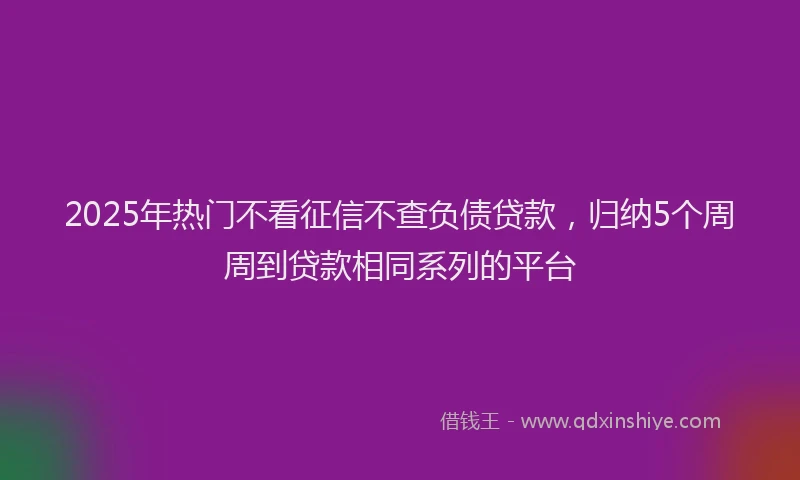 2025年热门不看征信不查负债贷款，归纳5个周周到贷款相同系列的平台
