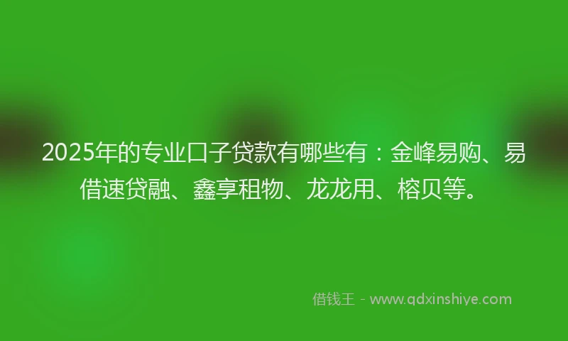 2025年的专业口子贷款有哪些有：金峰易购、易借速贷融、鑫享租物、龙龙用、榕贝等。