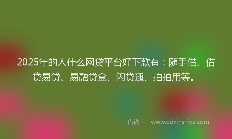 2025年的人什么网贷平台好下款有：随手借、借贷易贷、易融贷盒、闪贷通、拍拍用等。