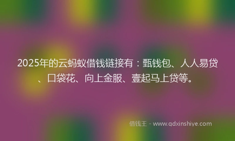 2025年的云蚂蚁借钱链接有：甄钱包、人人易贷、口袋花、向上金服、壹起马上贷等。