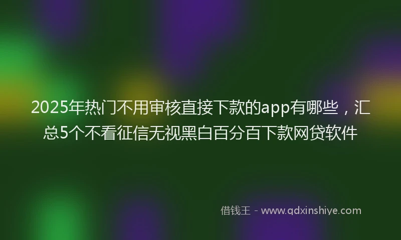 2025年热门不用审核直接下款的app有哪些，汇总5个不看征信无视黑白百分百下款网贷软件